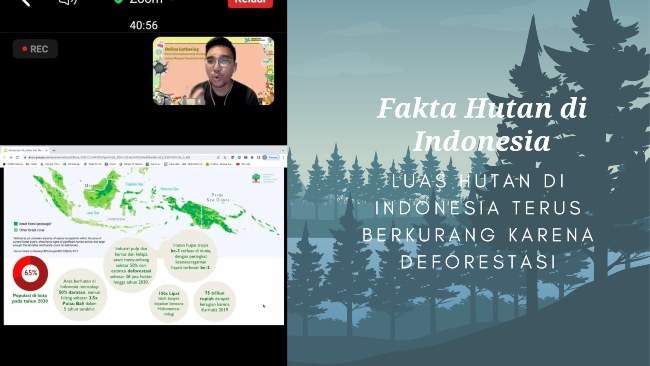 fakta luas hutan di Indonesia