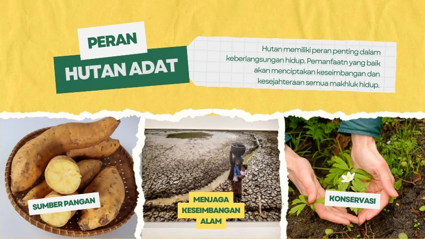 fungsi hutan adat indonesia untuk keseimbangan alam