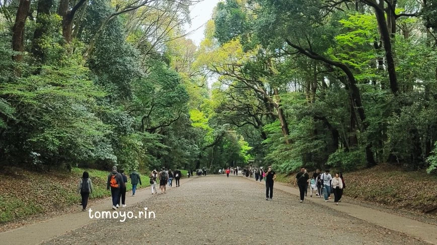hutan buatan Kuil Meiji Tokyo