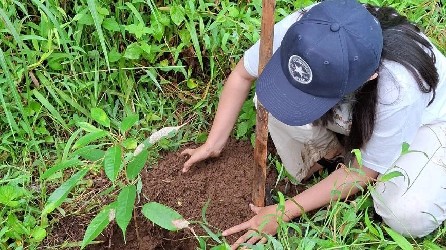 kegiatan penanaman pohon di Kuningan