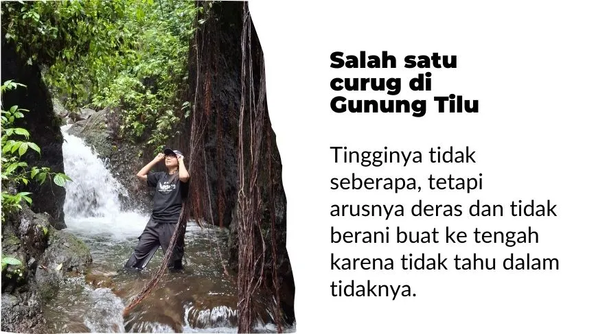 konservasi pohon langka sekaligus wisata curug gunung tilu Kuningan