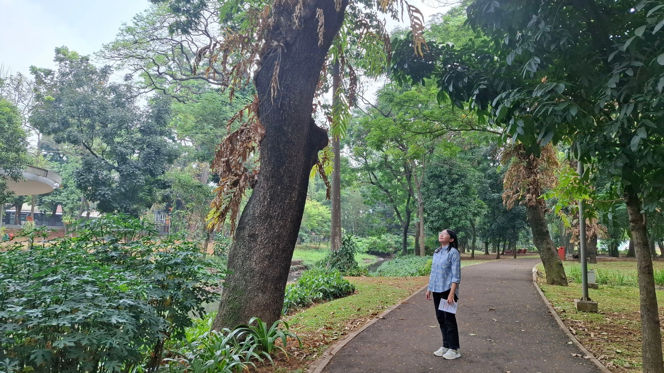 mengunjungi Tebet Eco Park