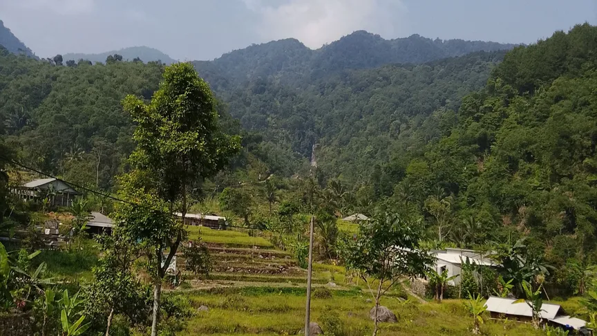 area pesawahan jalur menuju curug pasker