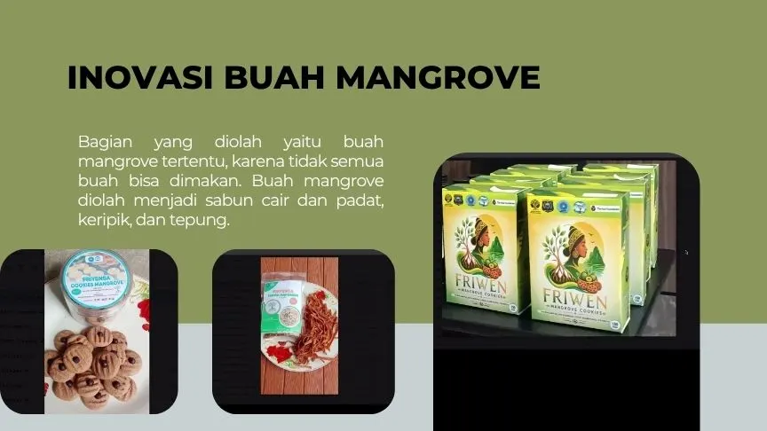 Olahan buah mangrove menjadi sumber pangan